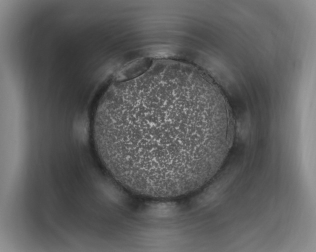 X0000111890304200908061339