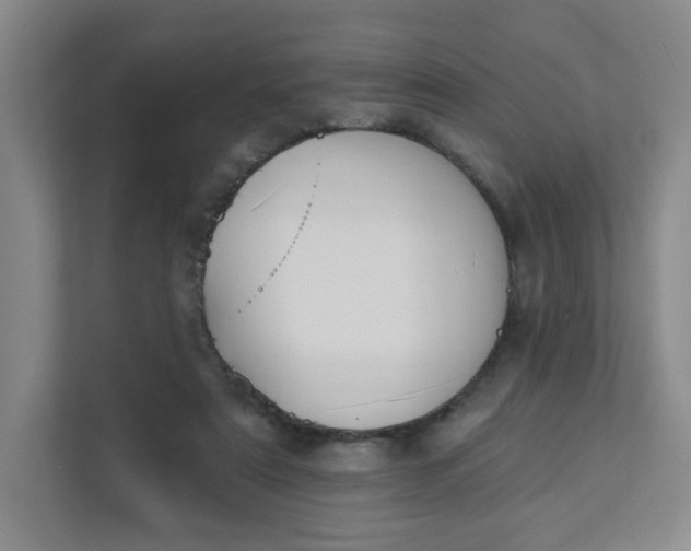 X0000111890307200908061339