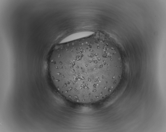 X0000111890308200908061339