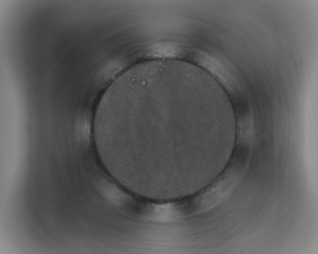 X0000111890309200908061339