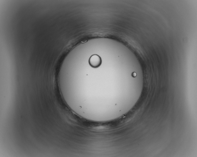 X0000111890312200908061339