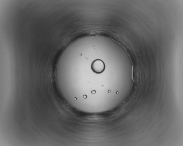 X0000111890316200908061339