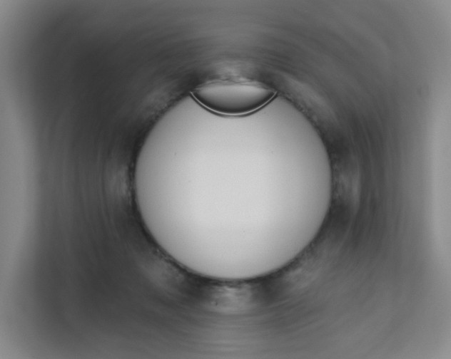 X0000111890317200908061339