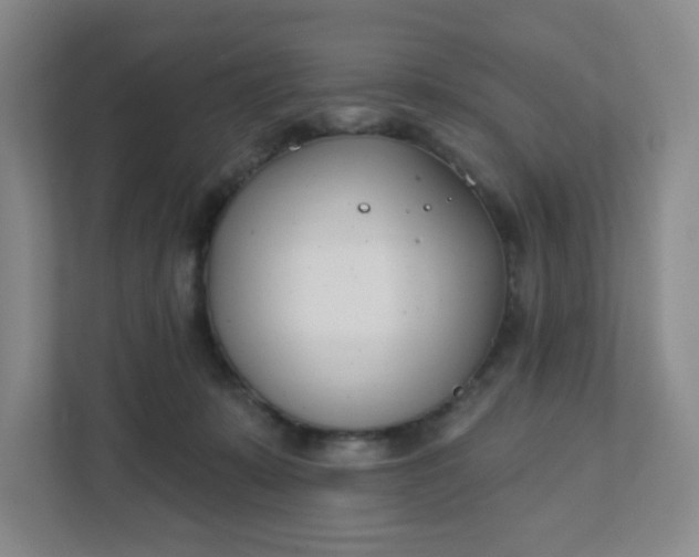 X0000111890319200908061339