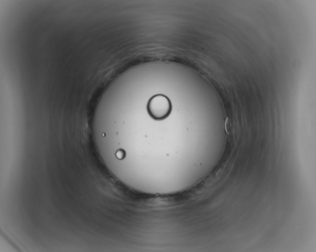 X0000111890320200908061339