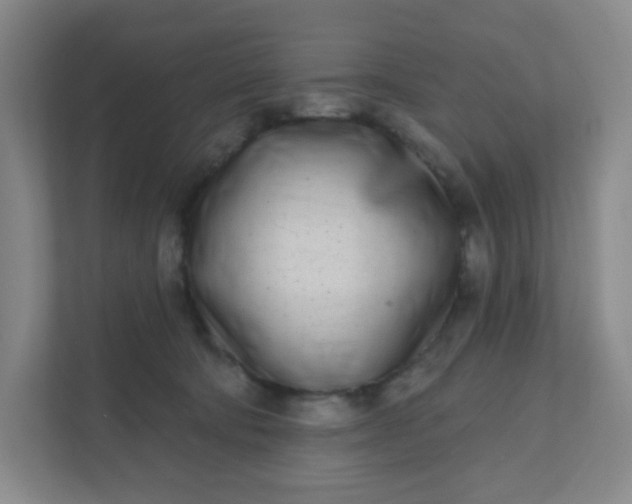 X0000111890322200908061339