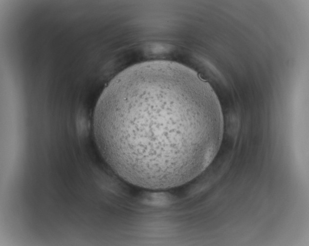 X0000111890324200908061339