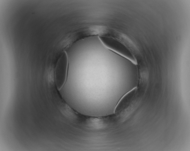 X0000111890325200908061339