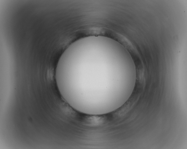 X0000111890326200908061339