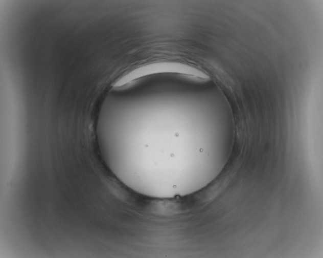 X0000111890327200908061339