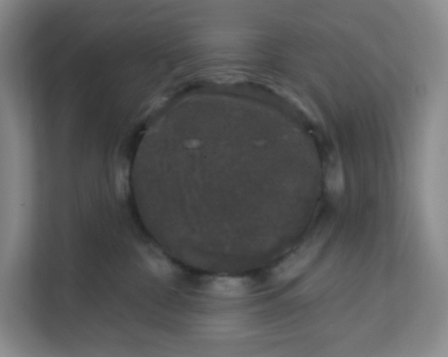 X0000111890332200908061339