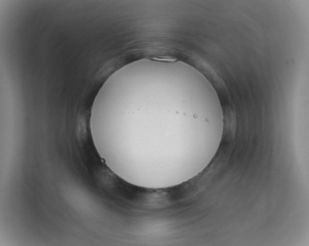 X0000111890333200908061339