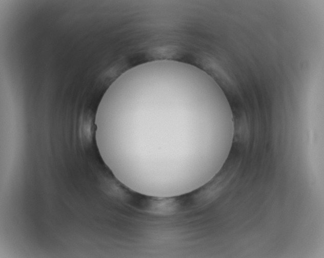 X0000111890334200908061339