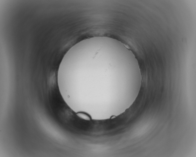 X0000111890335200908061339