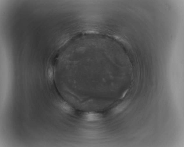 X0000111890336200908061339