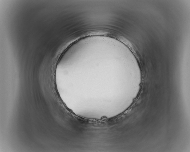 X0000111890337200908061338