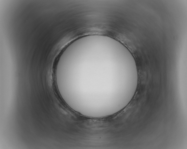 X0000111890338200908061338