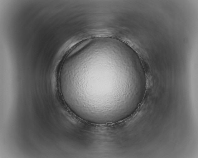 X0000111890339200908061338