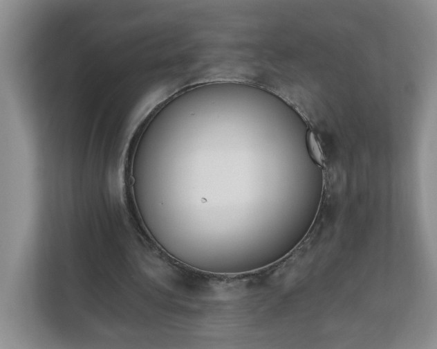 X0000111890340200908061338