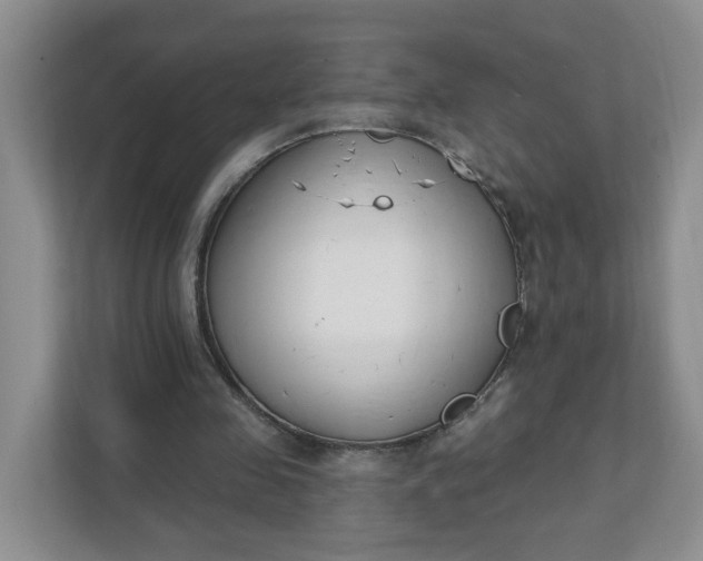 X0000111890341200908061338