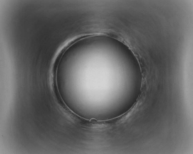 X0000111890342200908061338