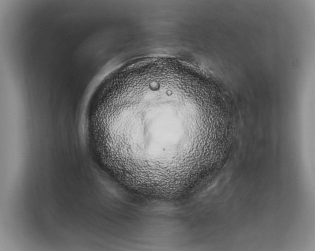 X0000111890343200908061338