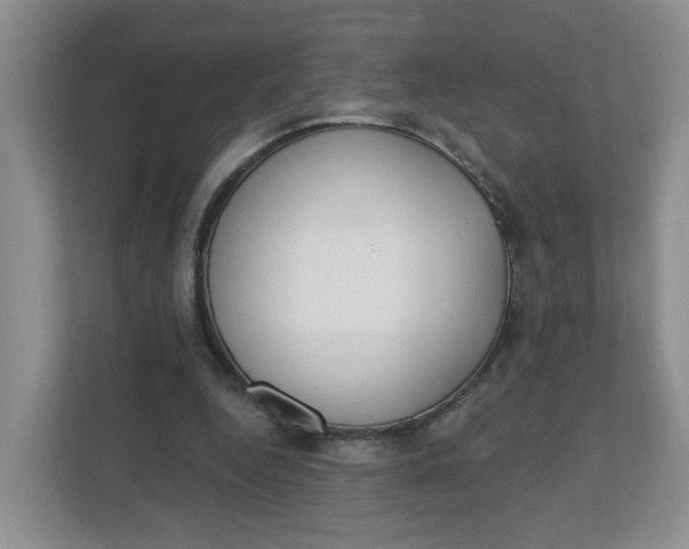 X0000111890344200908061338