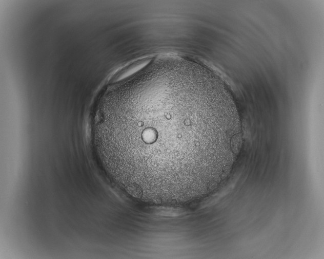 X0000111890347200908061338