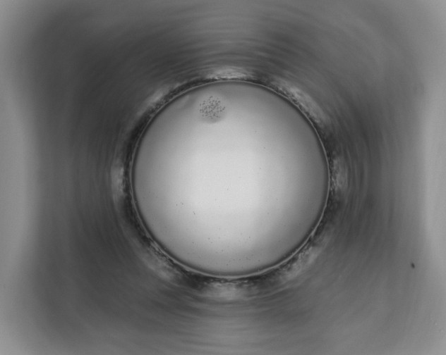 X0000111890351200908061338