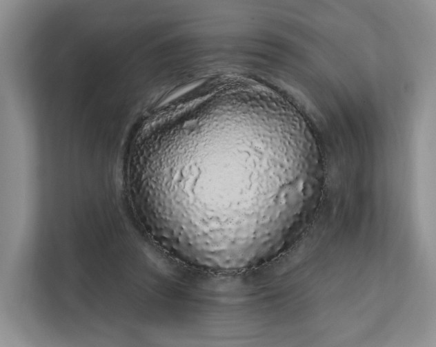 X0000111890353200908061338