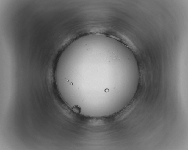 X0000111890354200908061338