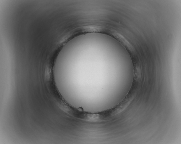 X0000111890355200908061338