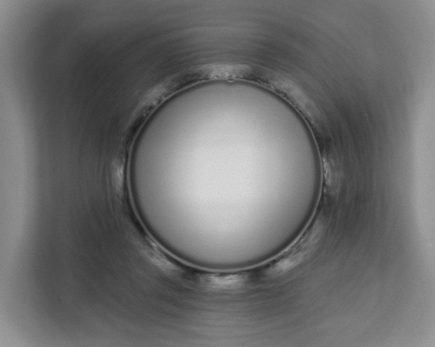 X0000111890357200908061338