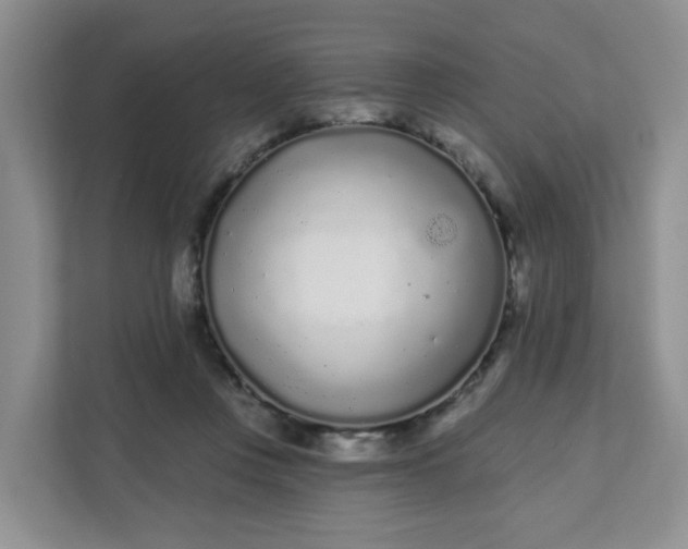 X0000111890359200908061338