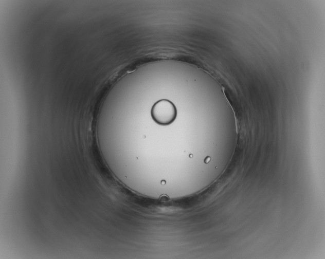 X0000111890360200908061338