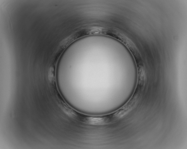 X0000111890361200908061338