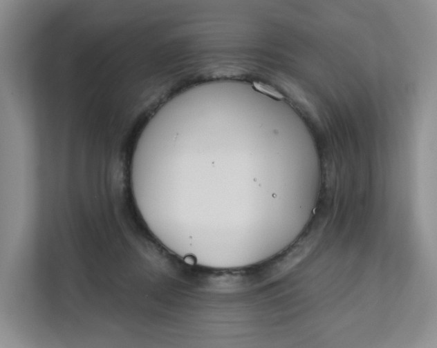 X0000111890362200908061338