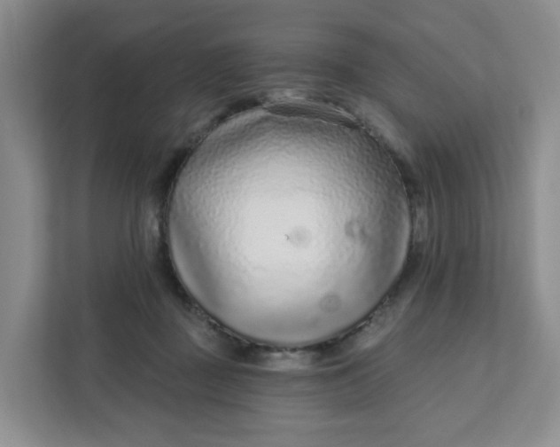 X0000111890363200908061338