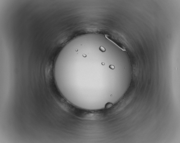 X0000111890364200908061338