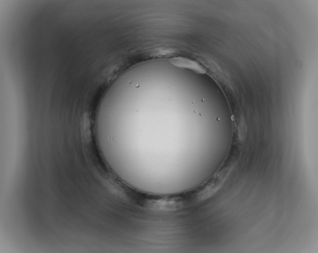 X0000111890366200908061338