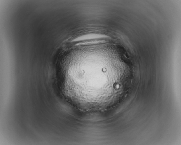 X0000111890367200908061338