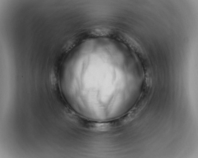 X0000111890371200908061339