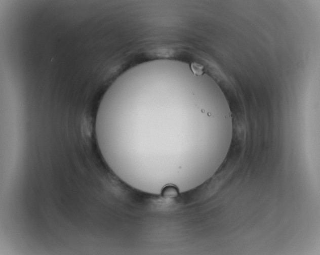 X0000111890374200908061339