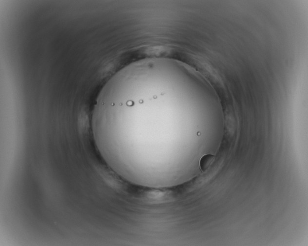 X0000111890375200908061339