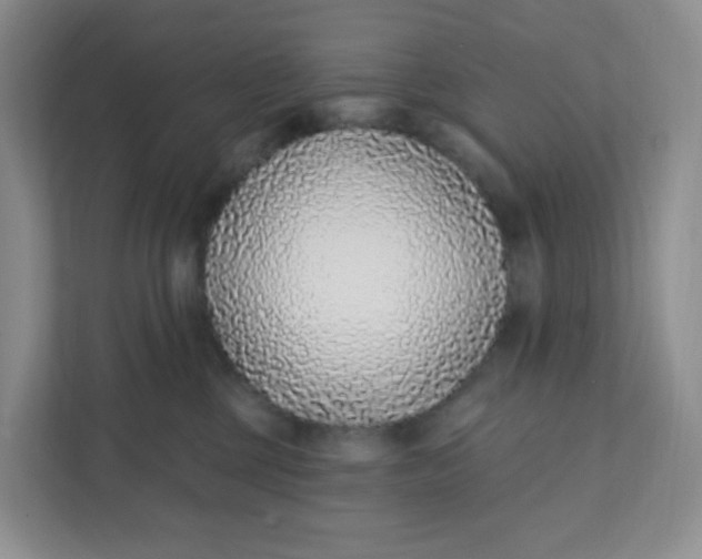 X0000111890377200908061339