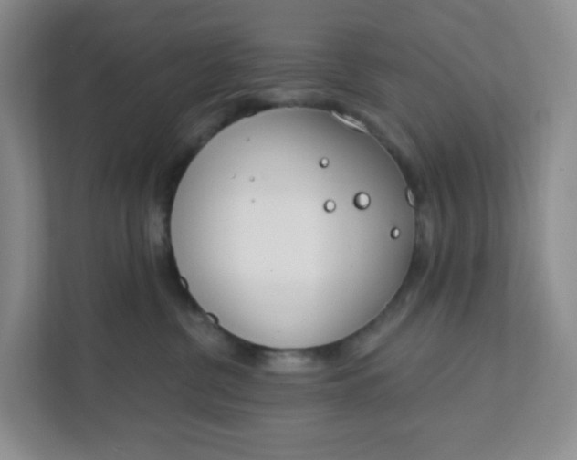 X0000111890380200908061339