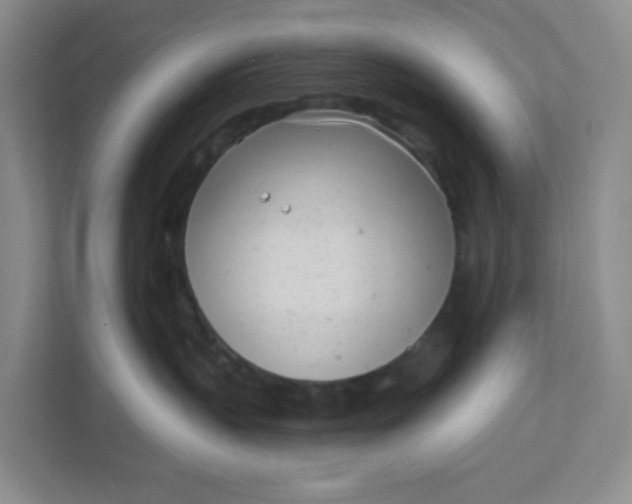 X0000111890383200908061339