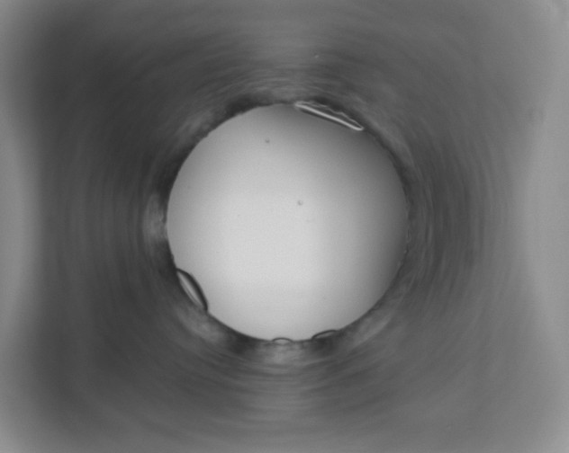 X0000111890384200908061339