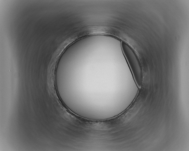 X0000111890385200908061338