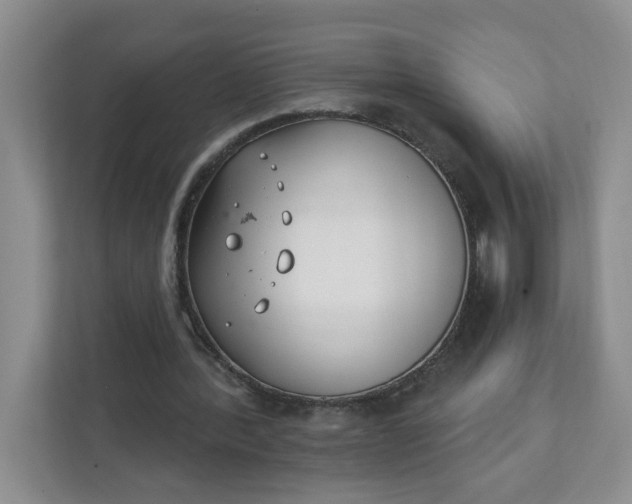 X0000111890388200908061338